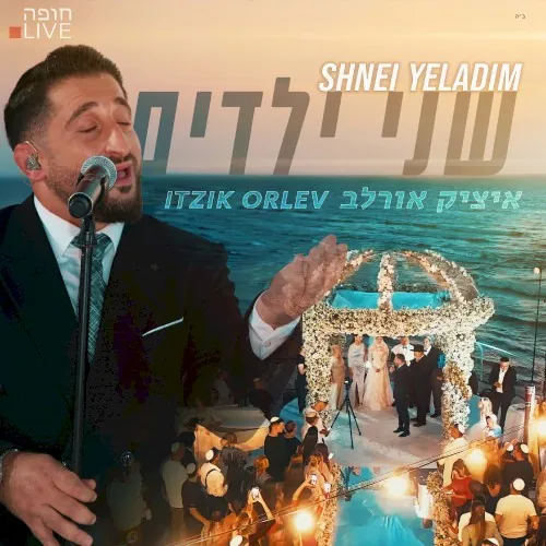 שני ילדים cover