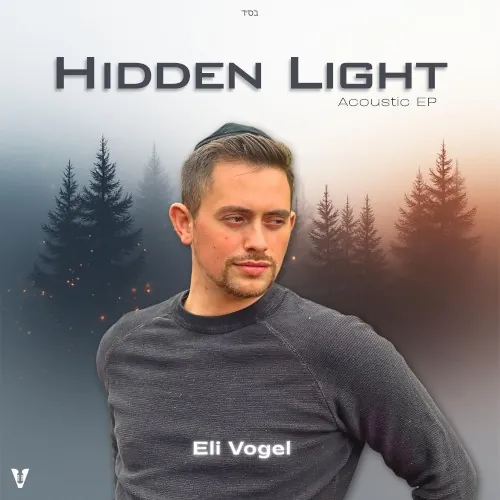 Hidden Light cover