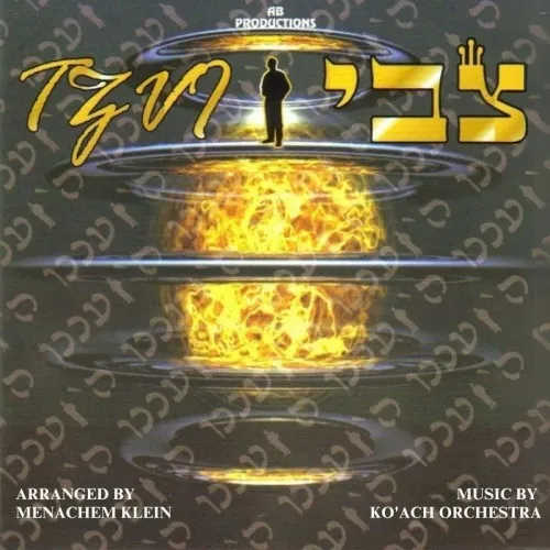 Aneinu Hashem cover