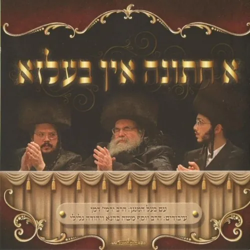 A Wedding In Belz cover