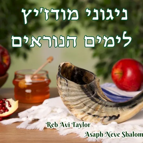 ניגוני מודז׳יץ לימים הנוראים cover