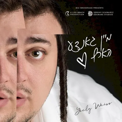 מיין גאנצע הארץ cover