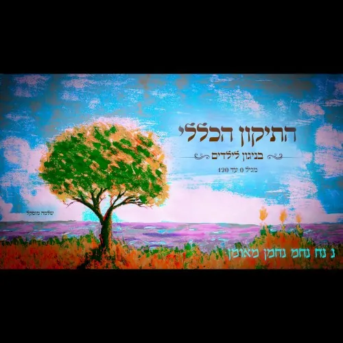 תיקון הכללי cover