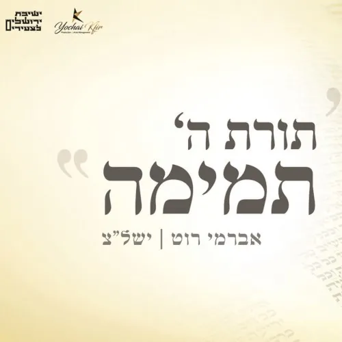 תורת השם cover