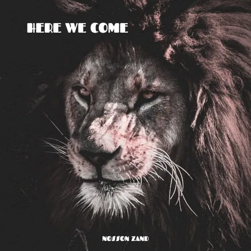 Here We Come cover