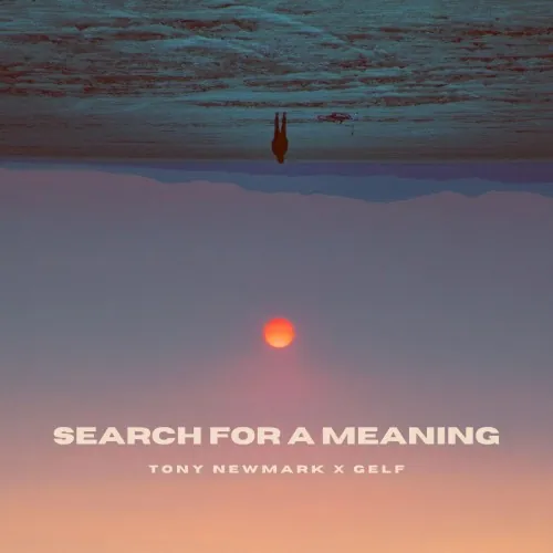 Search for a Meaning cover
