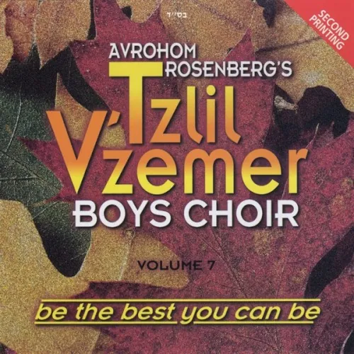 Volume 7 - Be the Best You Can Be cover