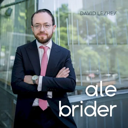 Ale Brider cover
