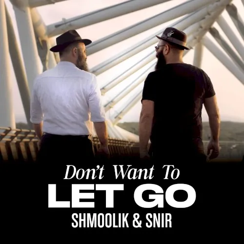 Don't Want to Let Go cover