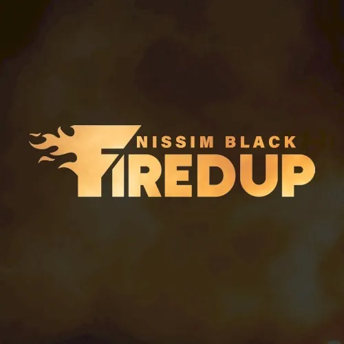 Fired Up cover