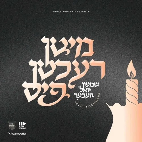 מיטן רעכטן פיס cover