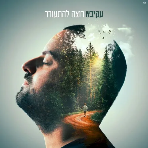 רוצה להתעורר cover
