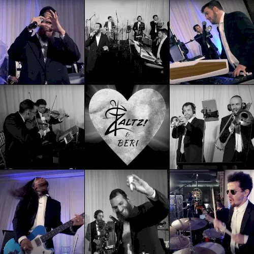 The Zaltz Band Experience cover