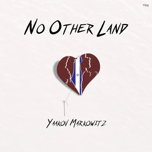 No Other Land cover