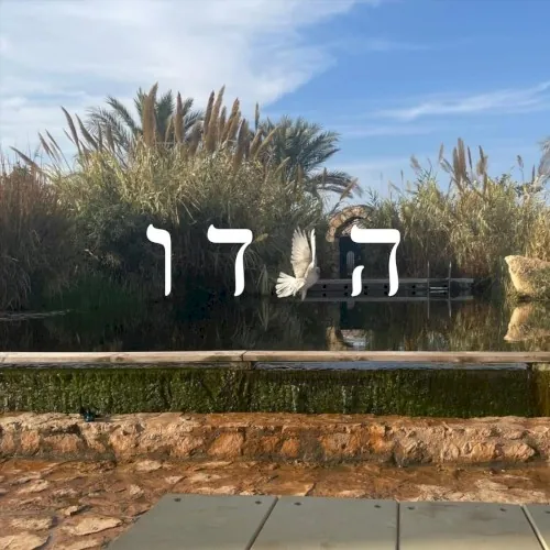 הודו cover
