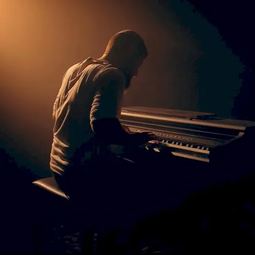 Searching cover