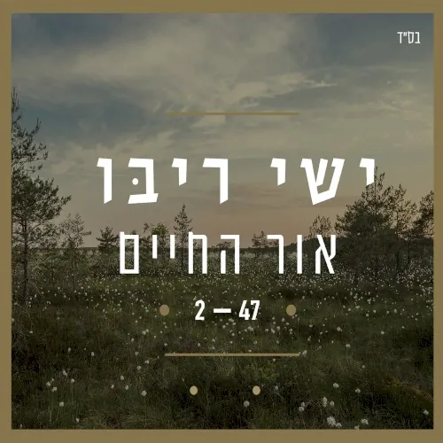 אור החיים cover