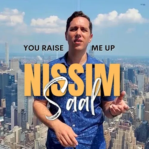 You Raise Me Up cover