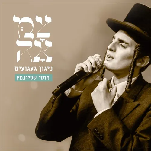 ניגון געגועים cover