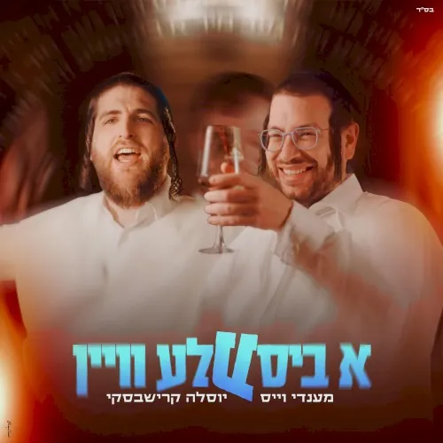 א ביסעלע וויין cover