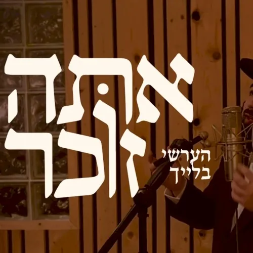 Ata Zocher cover