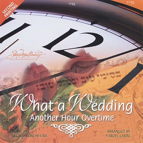 What a Wedding – Another Hour Overtime cover