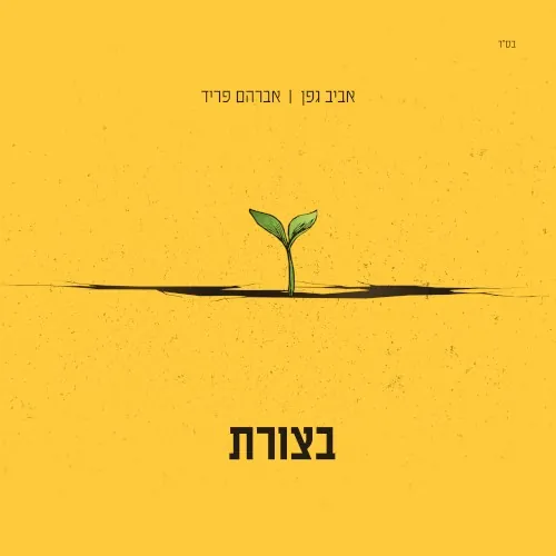 בצורת cover