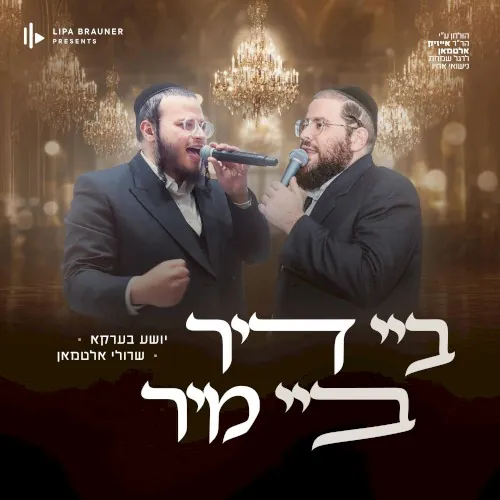 Ba Dir Ba Mir cover