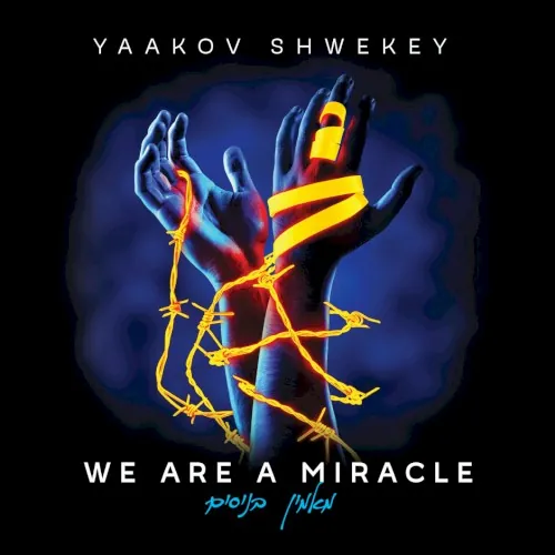 We Are a Miracle cover