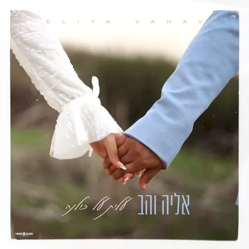 עלית על כולנה cover