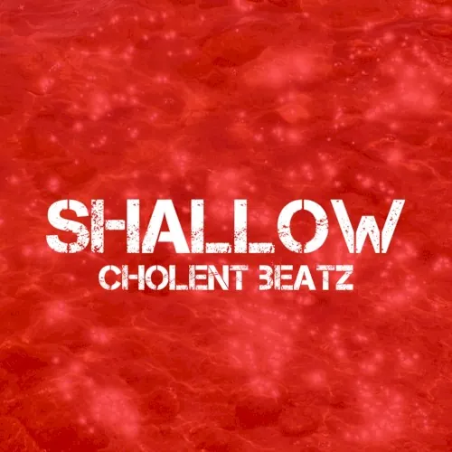 Shallow cover