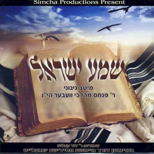 התרגשות cover