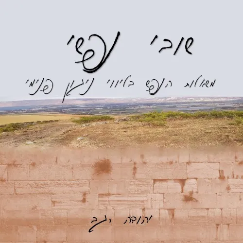 שובי נפשי cover