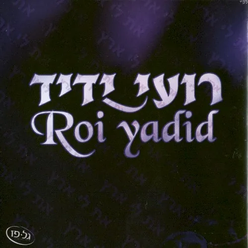 רועי ידיד cover