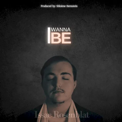I Wanna Be cover