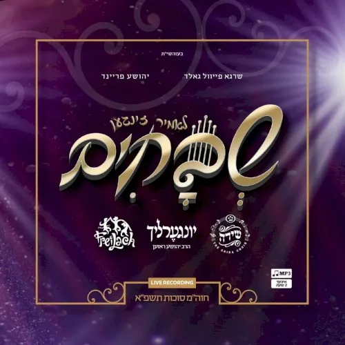 לאמיר זינגען שבחים cover