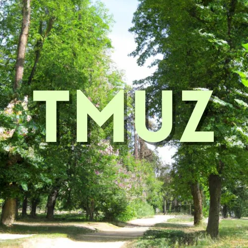 TMUZ cover