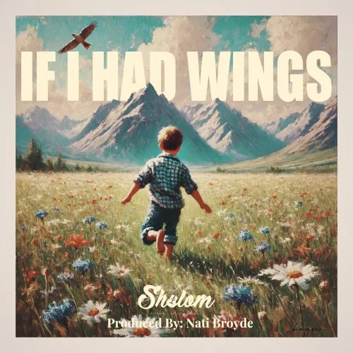 If I Had Wings cover