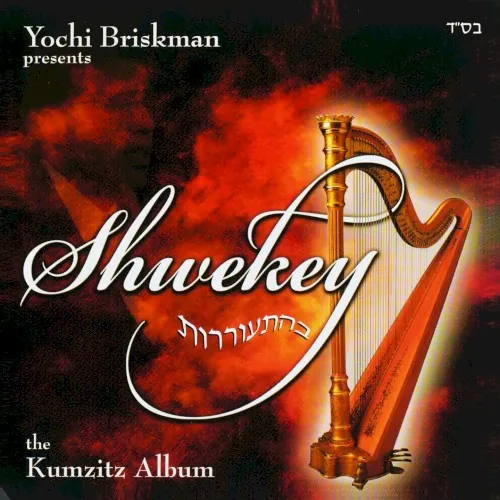 Shwekey Behitorerut cover