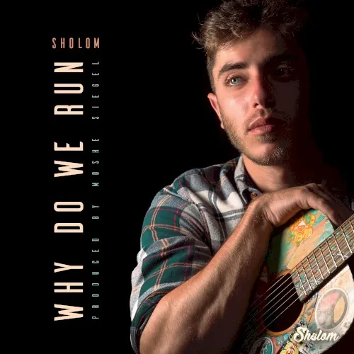 Why Do We Run (Why Am I Running) cover