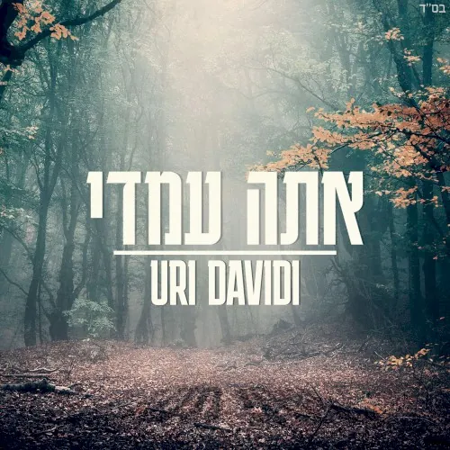 Ata Imadi cover