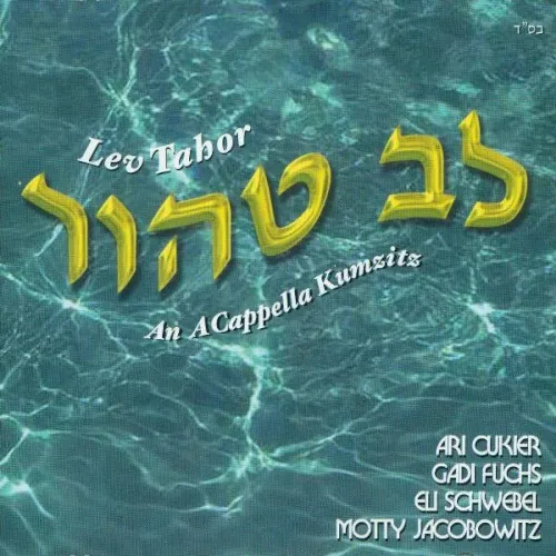 Lev Tahor - An Acapella Experience cover