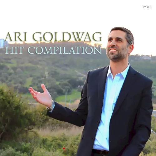 Ari Goldwag Hit Compilation cover