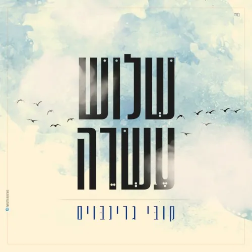 שלוש עשרה cover