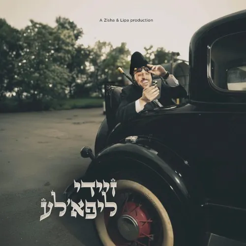 זיידי ליפא׳לע cover