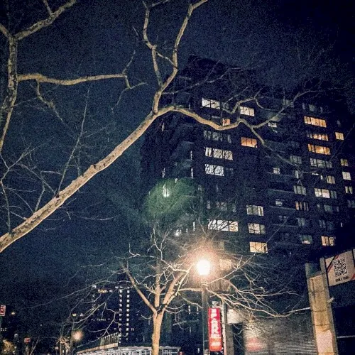 From Park West With Love cover