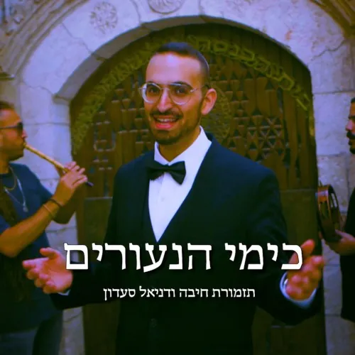 כימי הנעורים cover