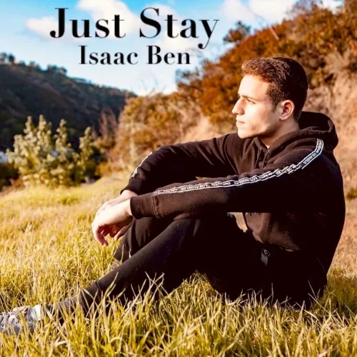 Just Stay cover