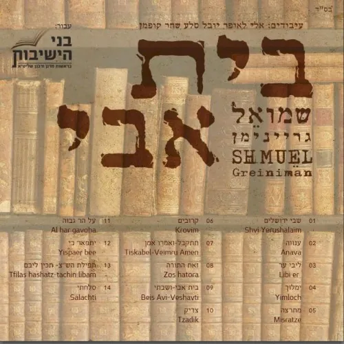 בית אבי cover