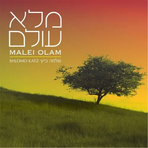 Malei Olam cover